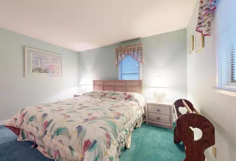 ホテル Bethany Beach     533a Hudson