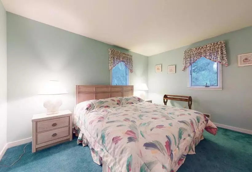 ホテル Bethany Beach     533a Hudson