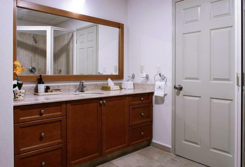 2 Bed 2 Bath, Plus One Den At Playa Royale Condo 3508, Free Wifi