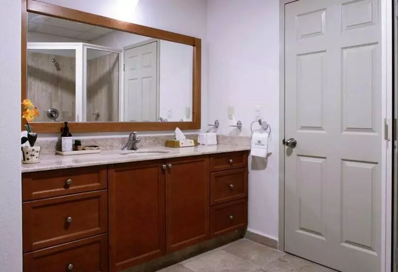 2 Bed 2 Bath, Plus One Den At Playa Royale Condo 3508, Free Wifi