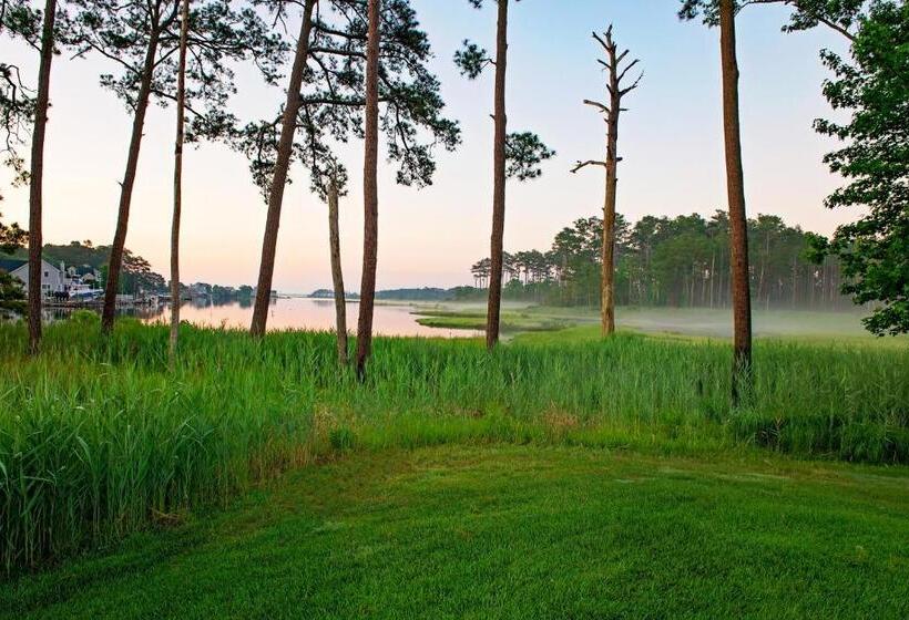 호텔 Bayside Resort 38047 Boxwood Terrace #101