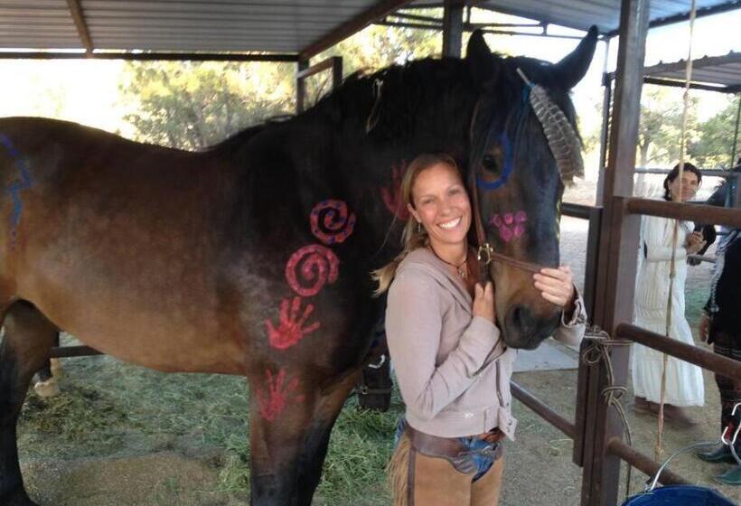 هتل The Mountain Lion   Horses Sedona S Most Loved