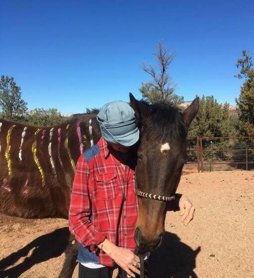 هتل The Mountain Lion   Horses Sedona S Most Loved