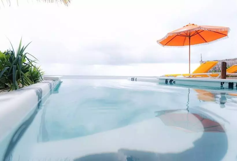 Oaga Art Resort Maldives   Greatest All Inclusive