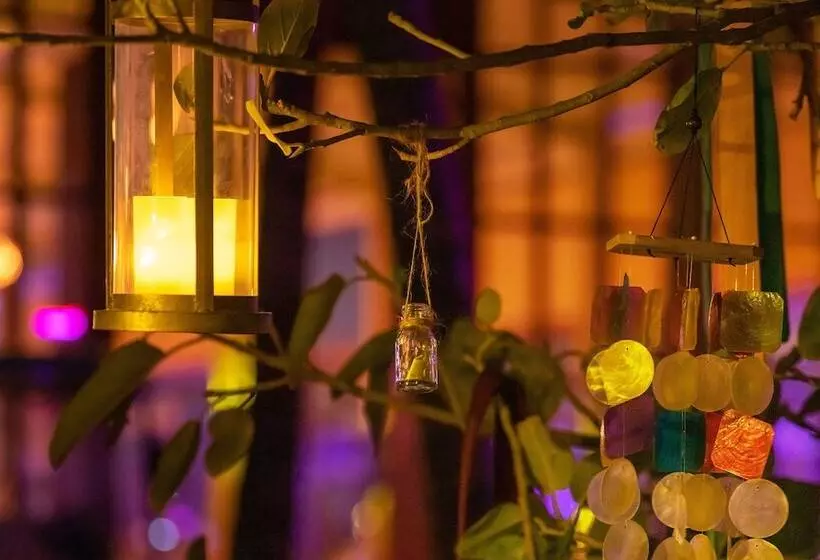 Oaga Art Resort Maldives   Greatest All Inclusive