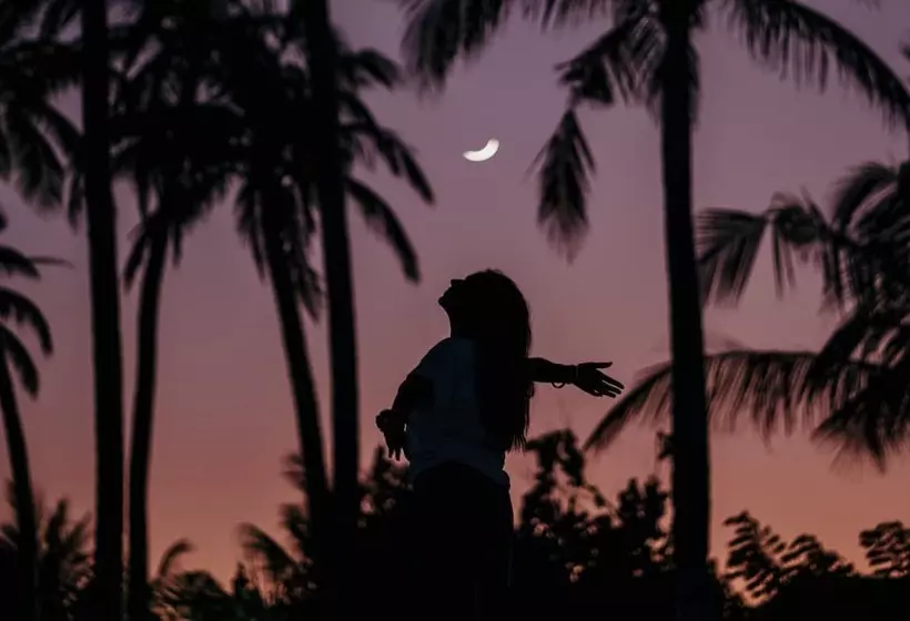 Oaga Art Resort Maldives   Greatest All Inclusive