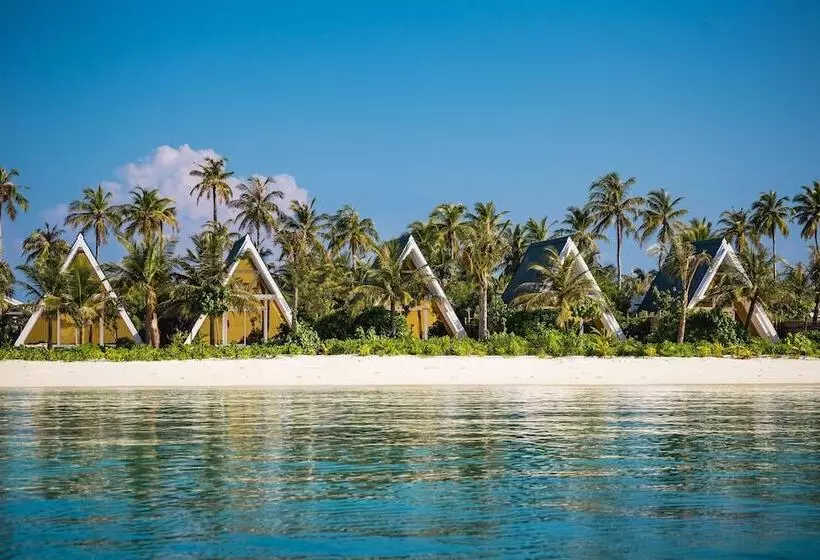 Oaga Art Resort Maldives   Greatest All Inclusive