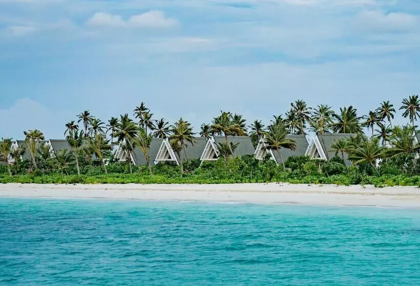 Oaga Art Resort Maldives   Greatest All Inclusive