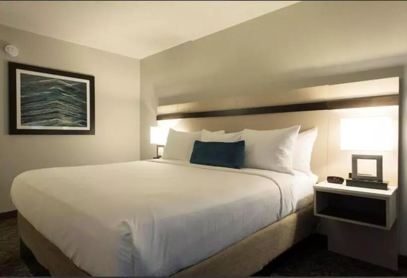 호텔 Holiday Inn   Bloomington   Normal, An Ihg