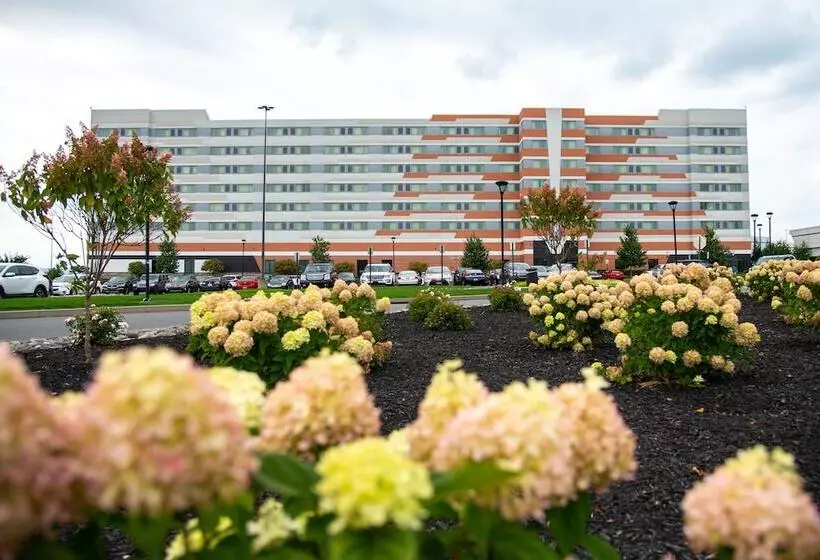 Отель Mohegan Pennsylvania Adults Only