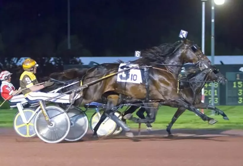 Отель Mohegan Pennsylvania Adults Only