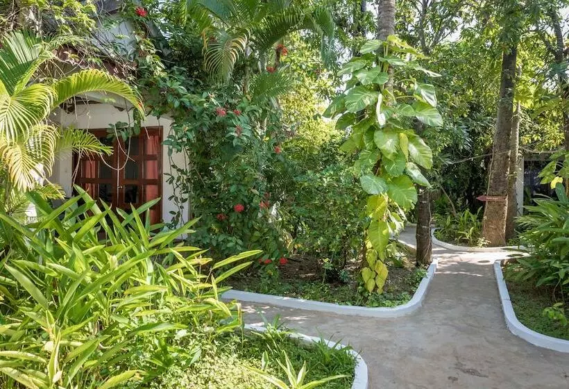 Отель Sambor Village