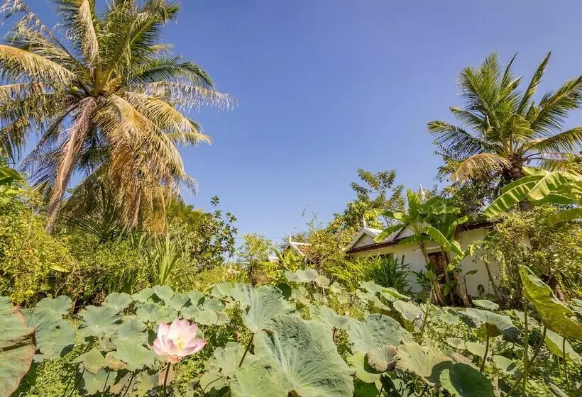 Отель Sambor Village