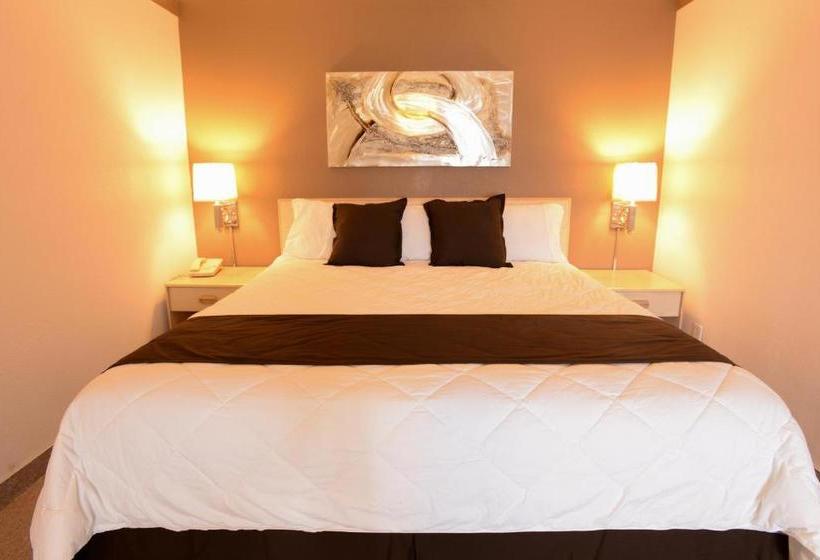 فندق على الطريق Burlington Inn