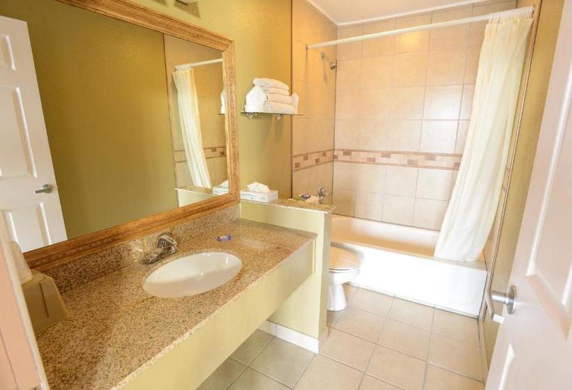 فندق على الطريق Burlington Inn