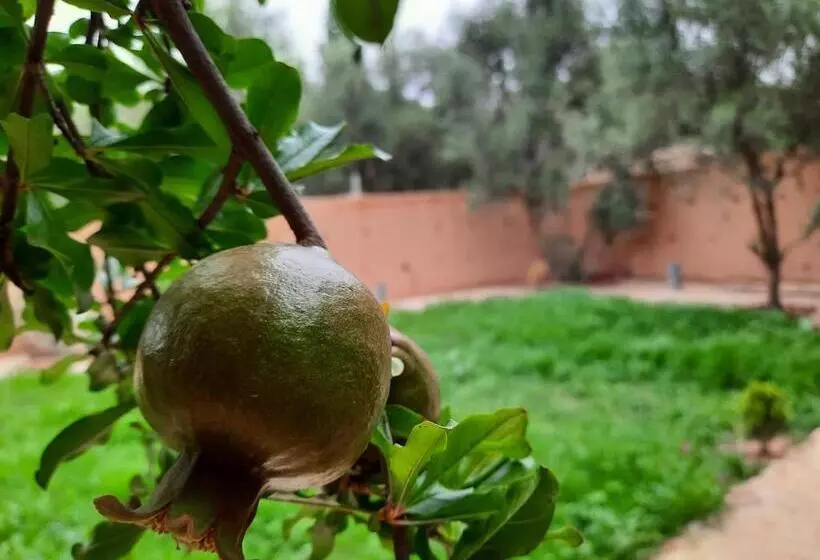 Retkeilymaja Gite Boukhalfa