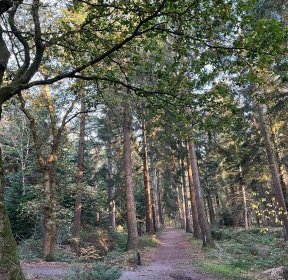 B&b Stoet & Berre Geheel Privé 1   4 Pers