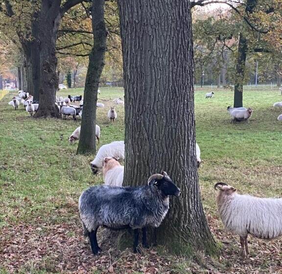 B&b Stoet & Berre Geheel Privé 1   4 Pers