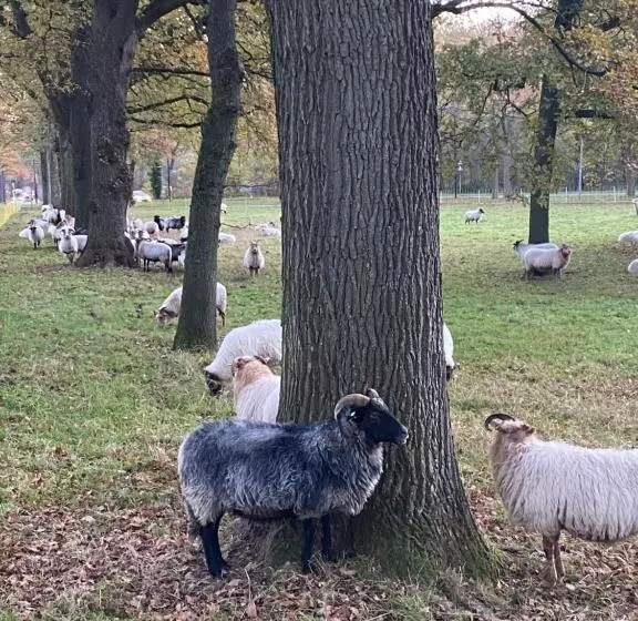 B&b Stoet & Berre Geheel Privé 1   4 Pers