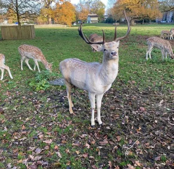 B&b Stoet & Berre Geheel Privé 1   4 Pers