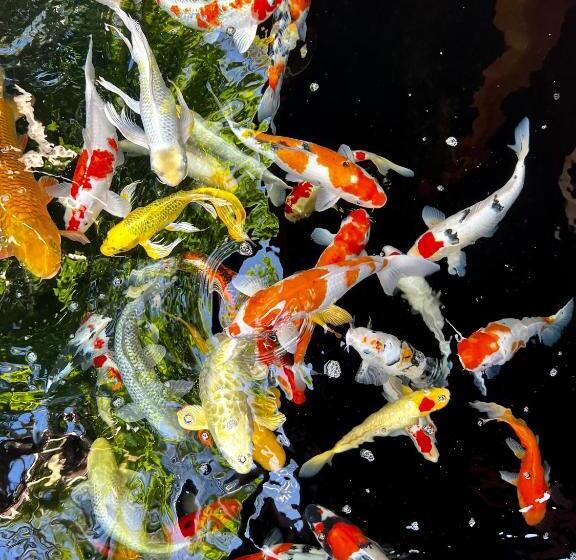 Пансион Rich Village