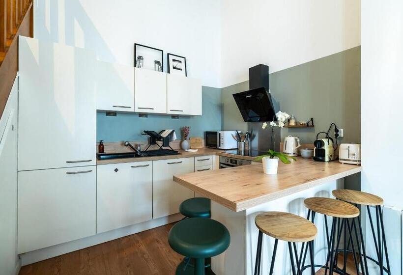 Mon Appart Hôtel   Gare De Limoges   Charmant Duplex 1 Et 2 Chambres   Parking En Supp