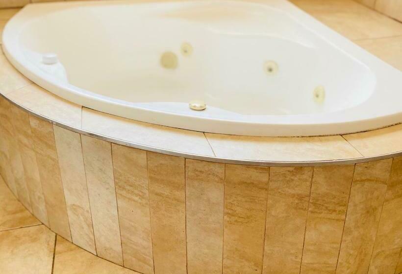 펜션 Airport Royal Guest House