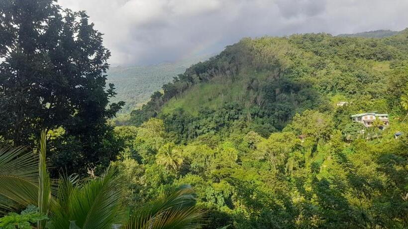 Pensionat Ld Rooma Dunhida