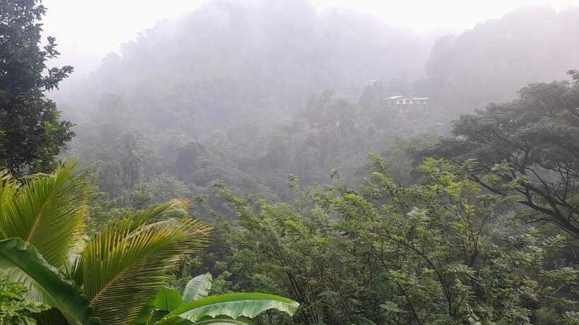 Pensionat Ld Rooma Dunhida