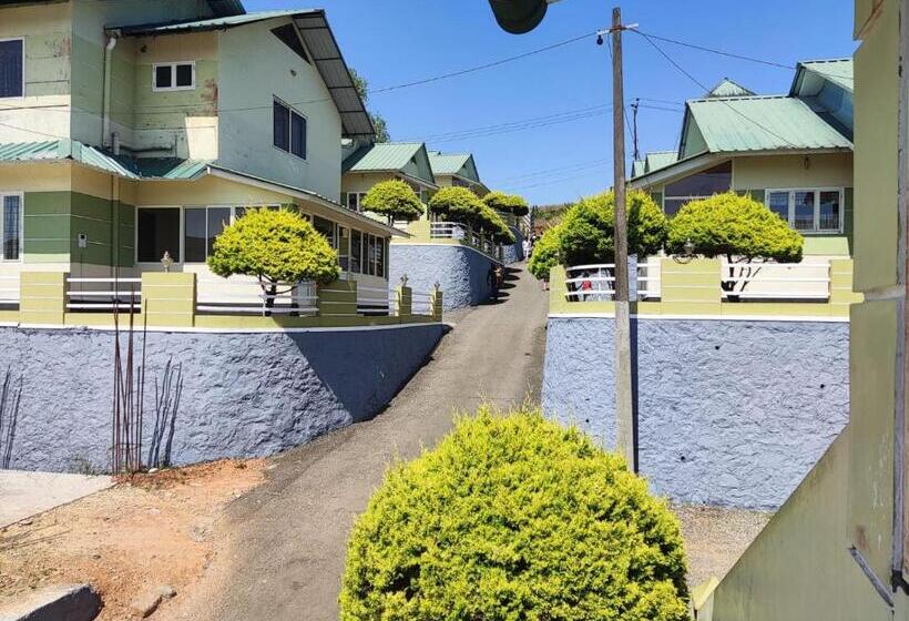 ホテル Green Palace Resort