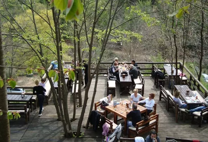 Hotelli Kulindağ Dağ Evi