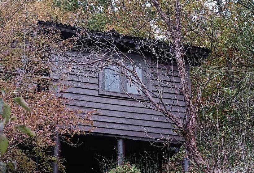 בית מלון כפרי Kulindağ Dağ Evi