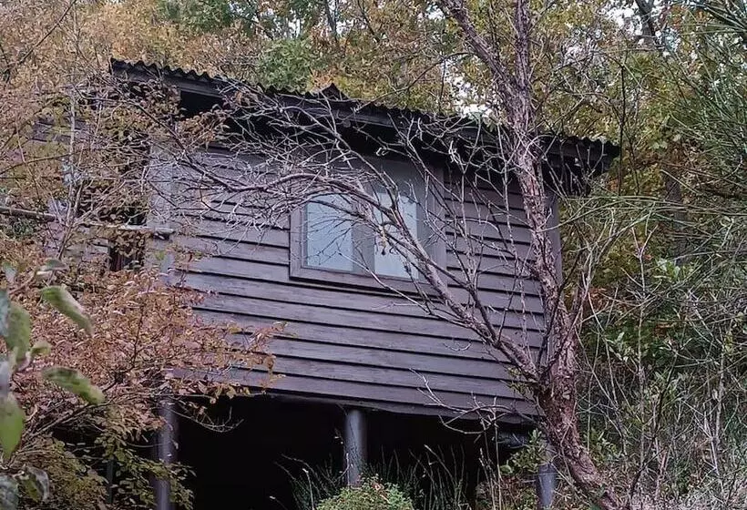 Hotelli Kulindağ Dağ Evi