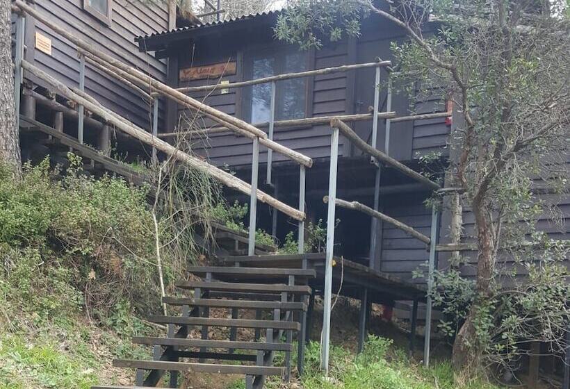 בית מלון כפרי Kulindağ Dağ Evi