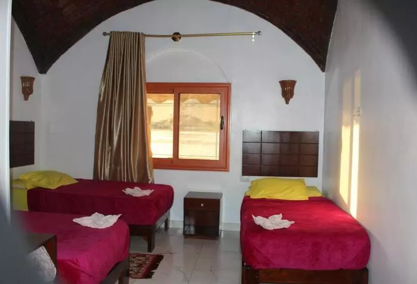 پانسیون Nile View Guest House