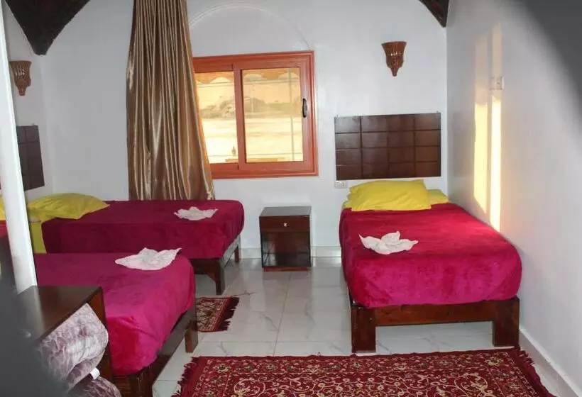 پانسیون Nile View Guest House