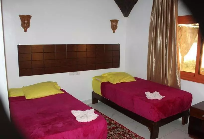 پانسیون Nile View Guest House