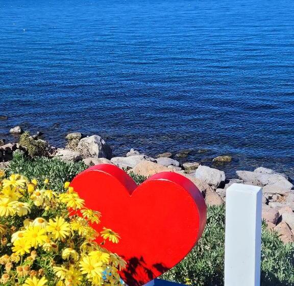 فندق Amantani Palace