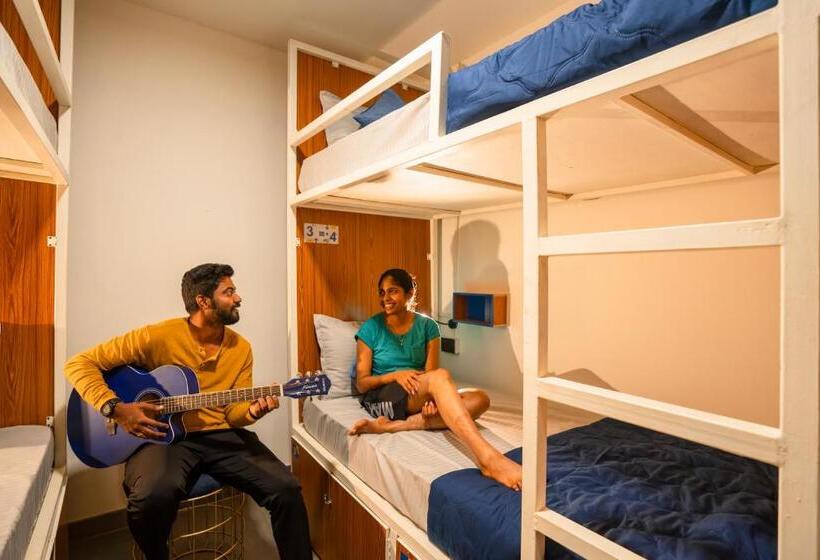 Auberge Hôtelière Shalom Backpackers Anjuna Goa