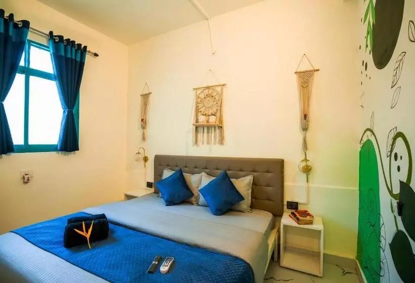 ユースホステル Shalom Backpackers Anjuna Goa