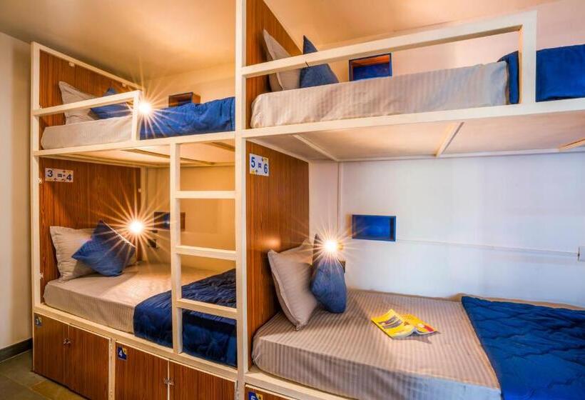 Auberge Hôtelière Shalom Backpackers Anjuna Goa