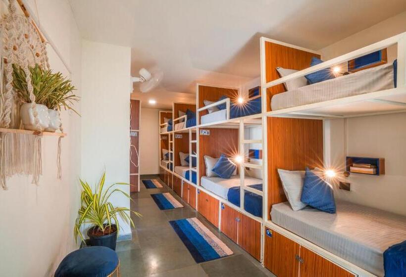 Auberge Hôtelière Shalom Backpackers Anjuna Goa