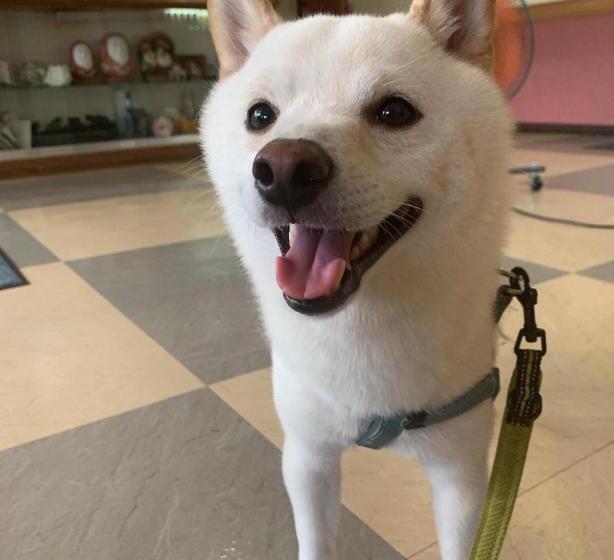 فندق 民宿ニュー万福茶屋