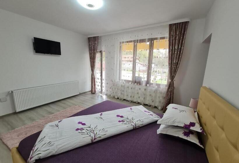 בית מלון כפרי Agropensiunea Maya Andrei