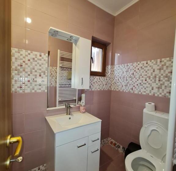 בית מלון כפרי Agropensiunea Maya Andrei