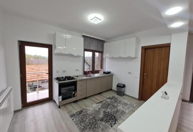 בית מלון כפרי Agropensiunea Maya Andrei