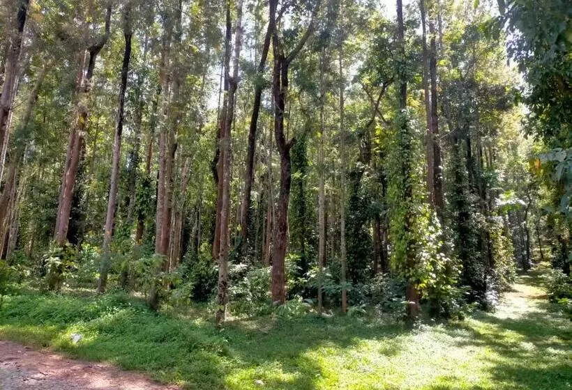 ホテル Coffeeberry Hills Chikamagalur