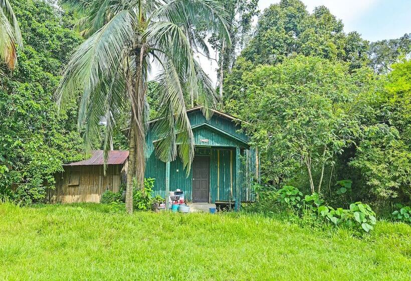 酒店 Oyo 90657 D Ambang Resort