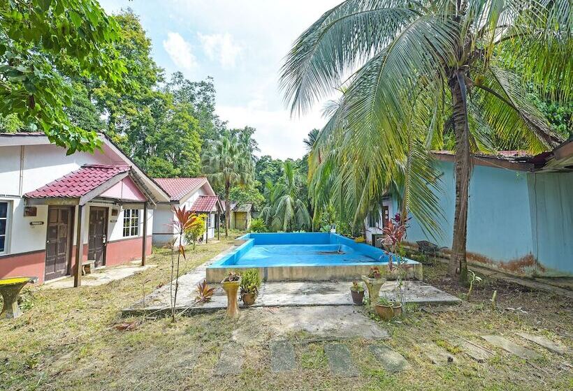 酒店 Oyo 90657 D Ambang Resort