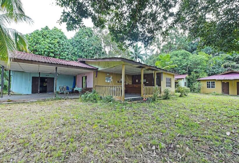 酒店 Oyo 90657 D Ambang Resort